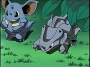 EE01 Nidoqueen bebe.png