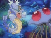 EH02 Gyarados de Misty vs Tentacruel.jpg