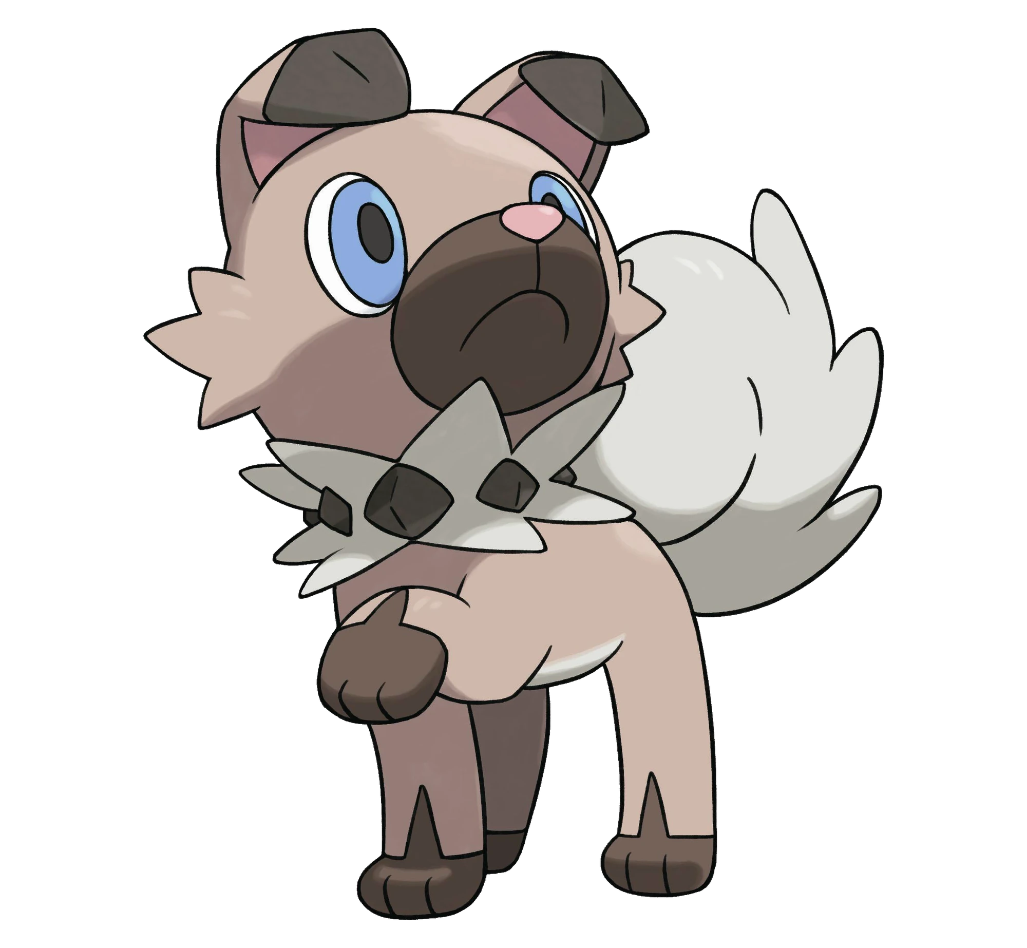 Rockruff | WikiDex | FANDOM powered by Wikia