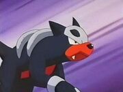 EP222 Houndour de Cassidy