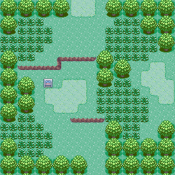 Ruta 101.png