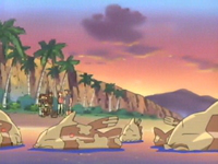 EP370 Isla Wazoo