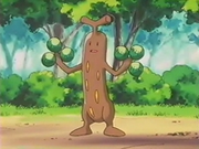 EP164 Sudowoodo (3).png
