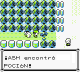Pocion en Ciudad Verde.png