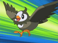 EP472 Starly de Ash.jpg