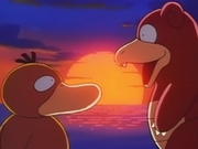 EP068 Psyduck y Slowbro.png