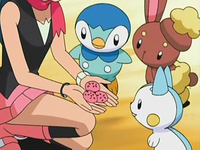 EP530 Maya dando pokochos a sus Pokémon.png