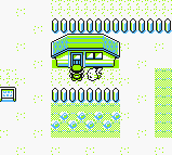 Escuela pokémon Am.png