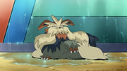EP701 Stoutland debilitado.png