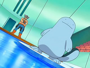EP552 Mananti con Quagsire.png
