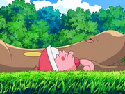 EP553 Sudowoodo y Happiny tumbados en la hierba