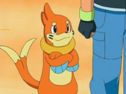 EP524 Buizel con Ash.png