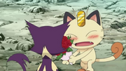 EP706 Meowth enamorado.png