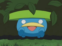 EP339 Lotad de Brock.png