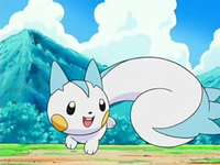 EP488 Pachirisu persiguiéndose la cola.png