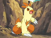 EP358 Combusken.png