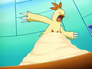 EP439 Combusken sufriendo bucle arena (3).png
