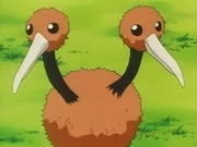EP067 Doduo de Gary.png