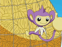 EP491 Aipom comiendo un plátano.png