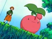 EP506 Cherubi con Gardenia.png