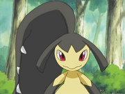 EP382 Mawile de Samantha.png