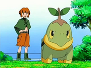 EP506 Turtwig con Gardenia.png
