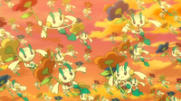 EP907 Grupo de Floette.png