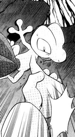 Archivo:Treecko salvando a Wally.png