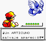 Articuno en Islas Espuma 2 RAAm