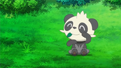 EP815 Pancham acariciandose.png