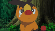 EP739 Tepig de Ash llorando