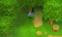 Ruta Forestal.png
