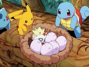 PK02 Pikachu al rescate.png