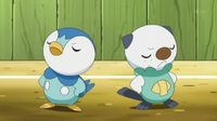 EP748 Oshawott y Piplup