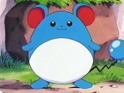 EP089 Marill de Tracey.png