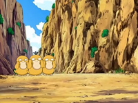 EP556 Psyduck bloqueando el camino.png