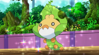 EP685 Sewaddle de Ash.png