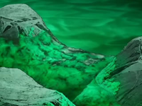 EP558 Algas en las rocas.png