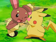 EP545 Buneary y Pikachu.png
