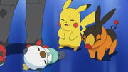 EP666 Pikachu, Oshawott y Tepig despues de la batalla.jpg