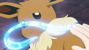 EP908 Cinta de Eevee.png