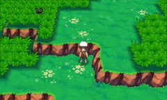 Isla espejismo ruta 104.png