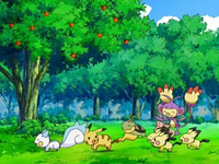 EP553 Pokémon jugando