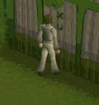 Enter Zanaris.gif