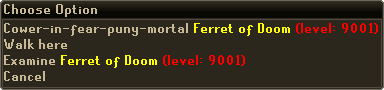 Ferret of Doom right click options.png