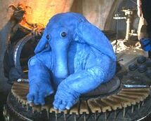 Maxrebo.jpg
