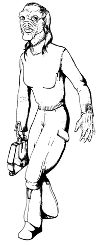 Archivo:Issori2.png