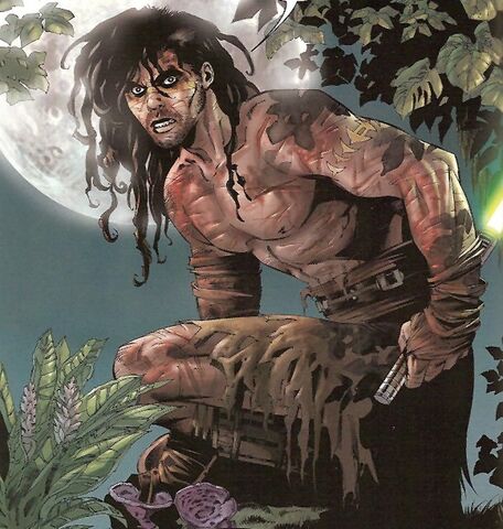 Archivo:QuinVos-Survivor.jpg