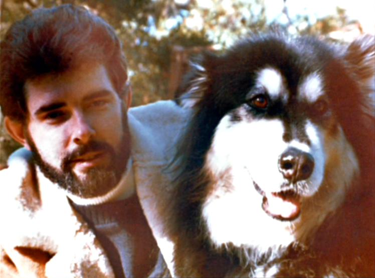 Resultado de imagen de george lucas alaska malamute