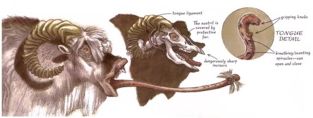 Archivo:Bantha tongue.jpg